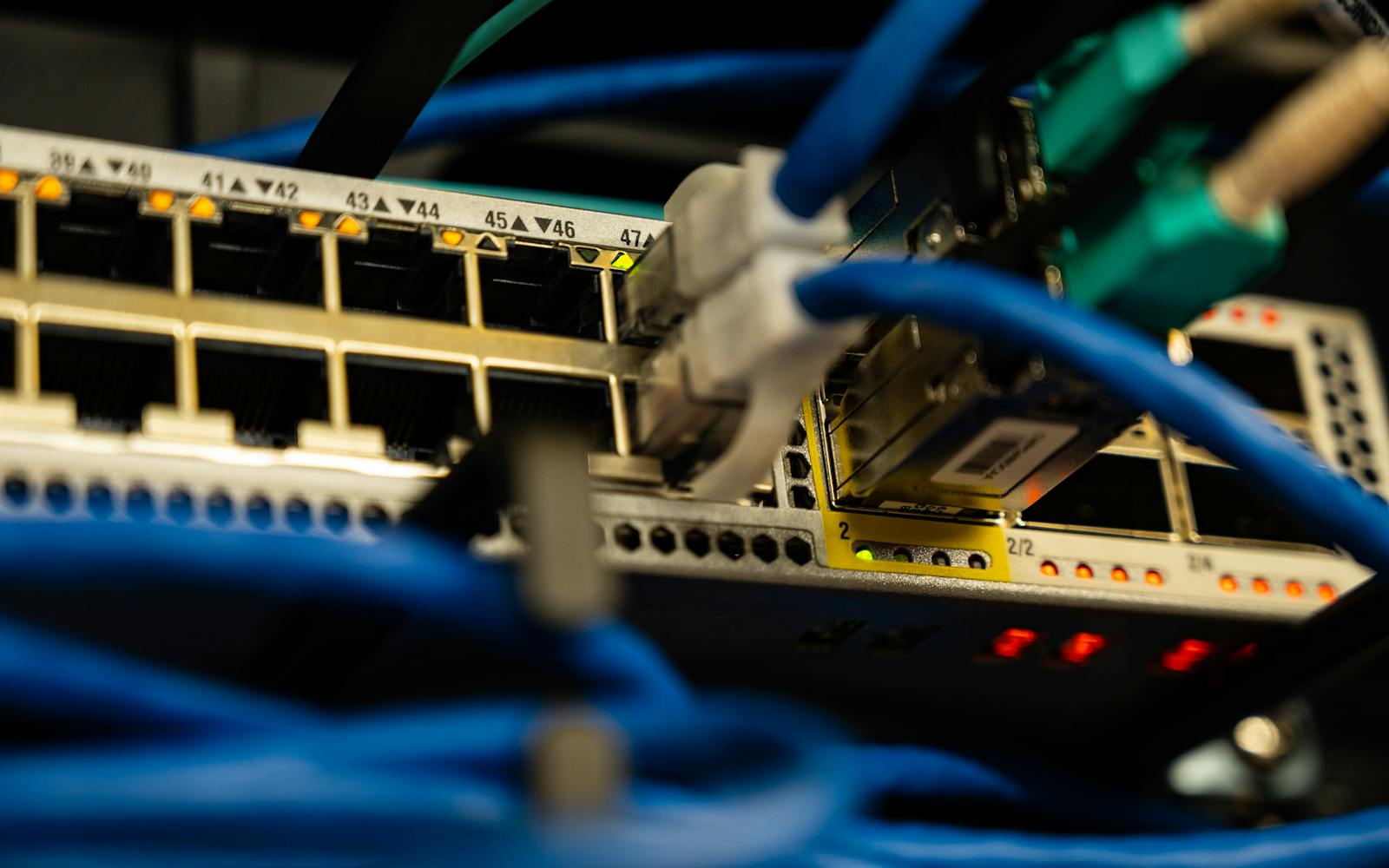 Ethernet cables patched into an enterprise network switch
